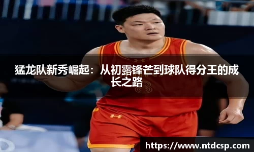 猛龙队新秀崛起：从初露锋芒到球队得分王的成长之路
